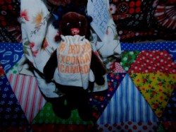 lavoy brown mama baby